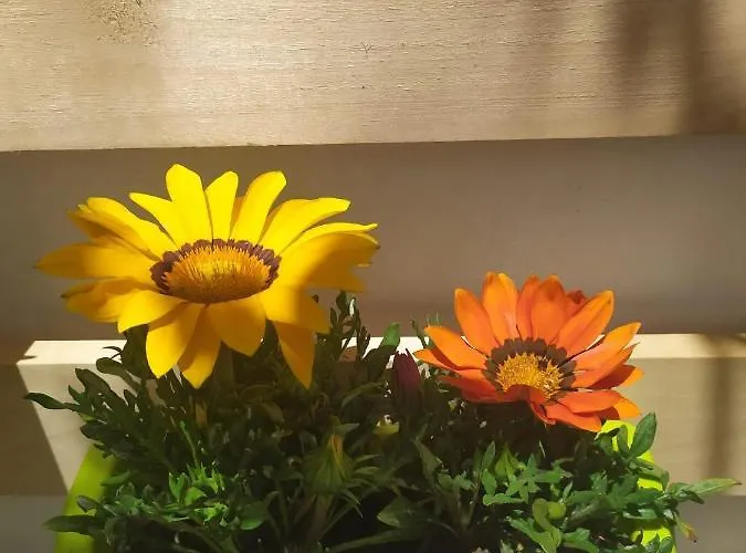 La Casa Dei Nonni Casa de Férias Paola