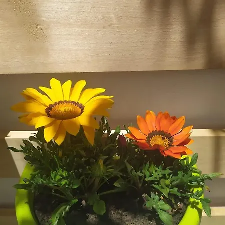 La Casa Dei Nonni Casa de Férias Paola